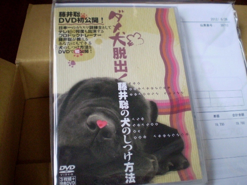 人気TOP 全4巻 藤井聡の犬のしつけ方法 ダメ犬脱出！ DVD - 犬 